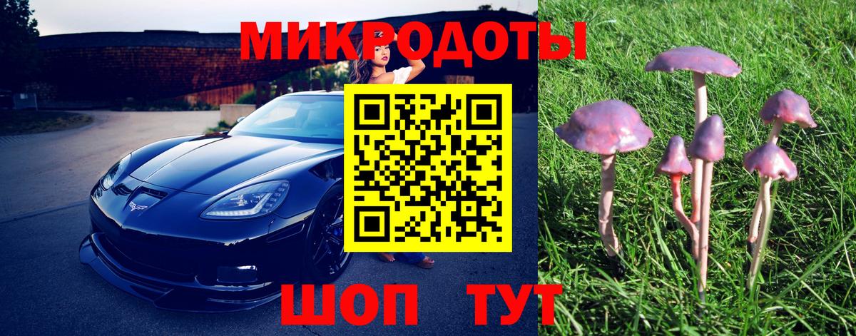 Псилоцибиновые грибы прущие грибы  Вход с VPN  Тимашёвск  Псилоцибиновые грибы Magic Shrooms 