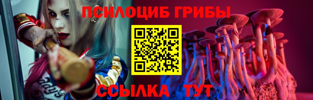 Псилоцибиновые грибы GOLDEN TEACHER Тимашёвск